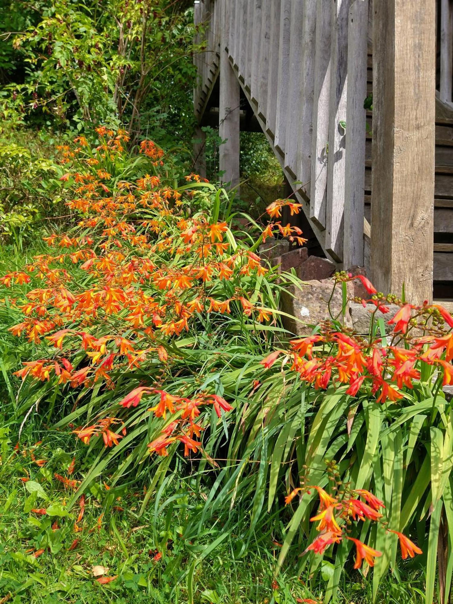 The Studio, Upper House Farm, Crickhowell. Villa ภายนอก รูปภาพ